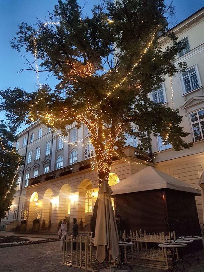 Vera Apartment In The ♥Of Lviv Exteriör bild