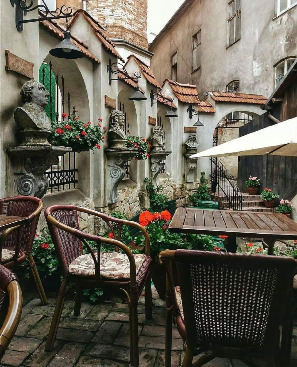 Vera Apartment In The ♥Of Lviv Exteriör bild